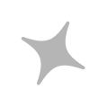 Gray Star Icon